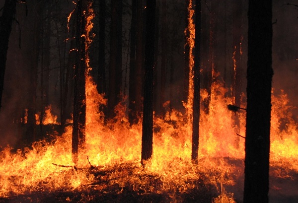 В Пензе ожидается повышенная пожароопасность